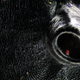 Illustration for article titled I've never seen macroscopic images as incredibly sharp as these ones
